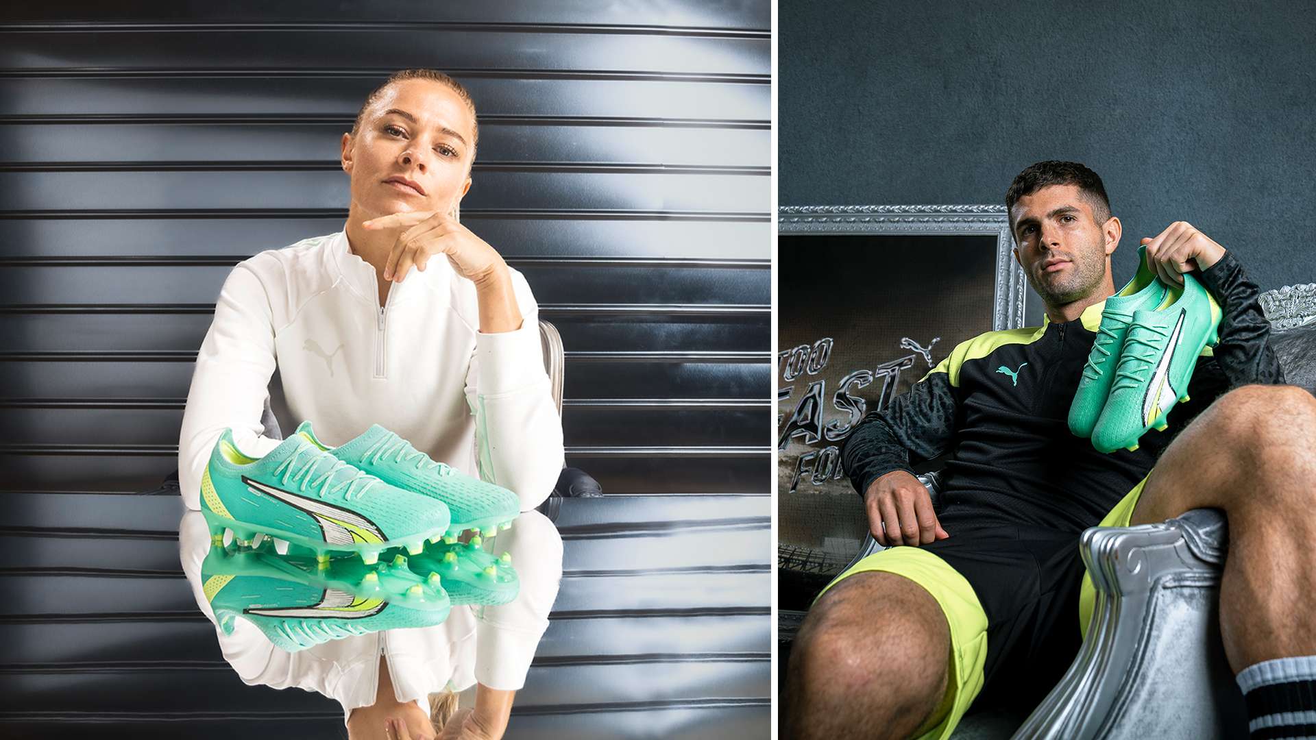 情感联系 情感联系